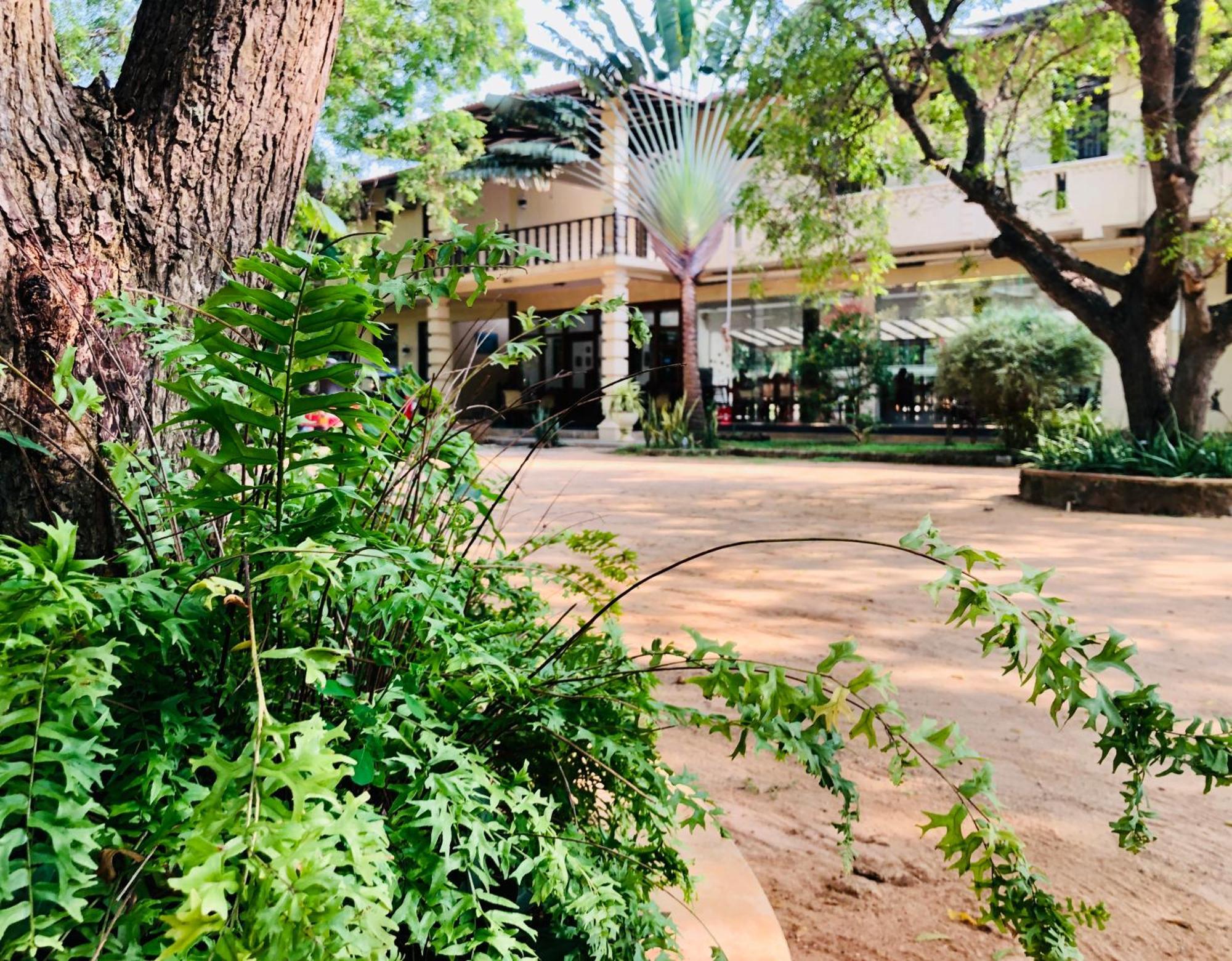 Saman Resort Yala Tissamaharama Exterior foto