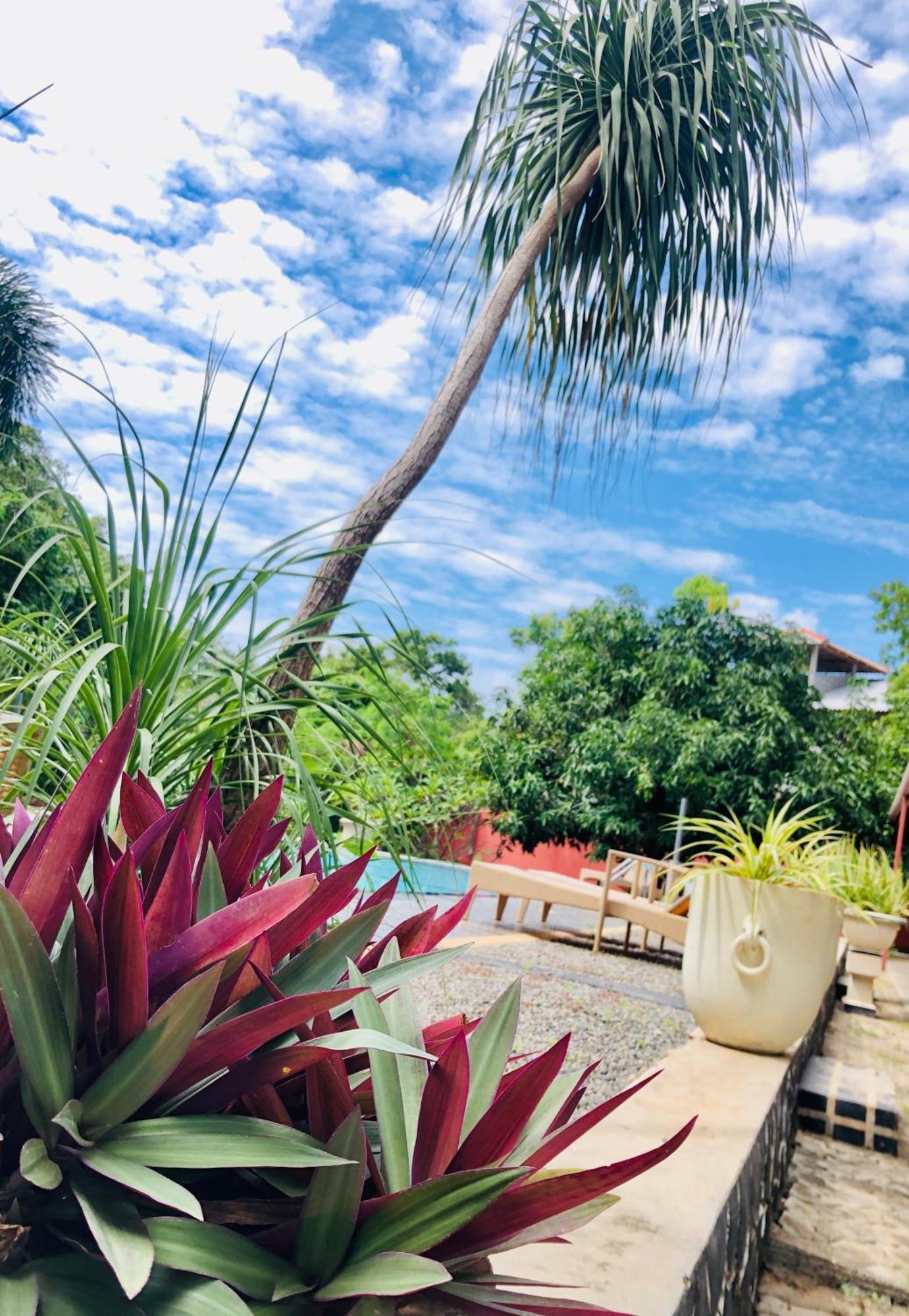 Saman Resort Yala Tissamaharama Exterior foto