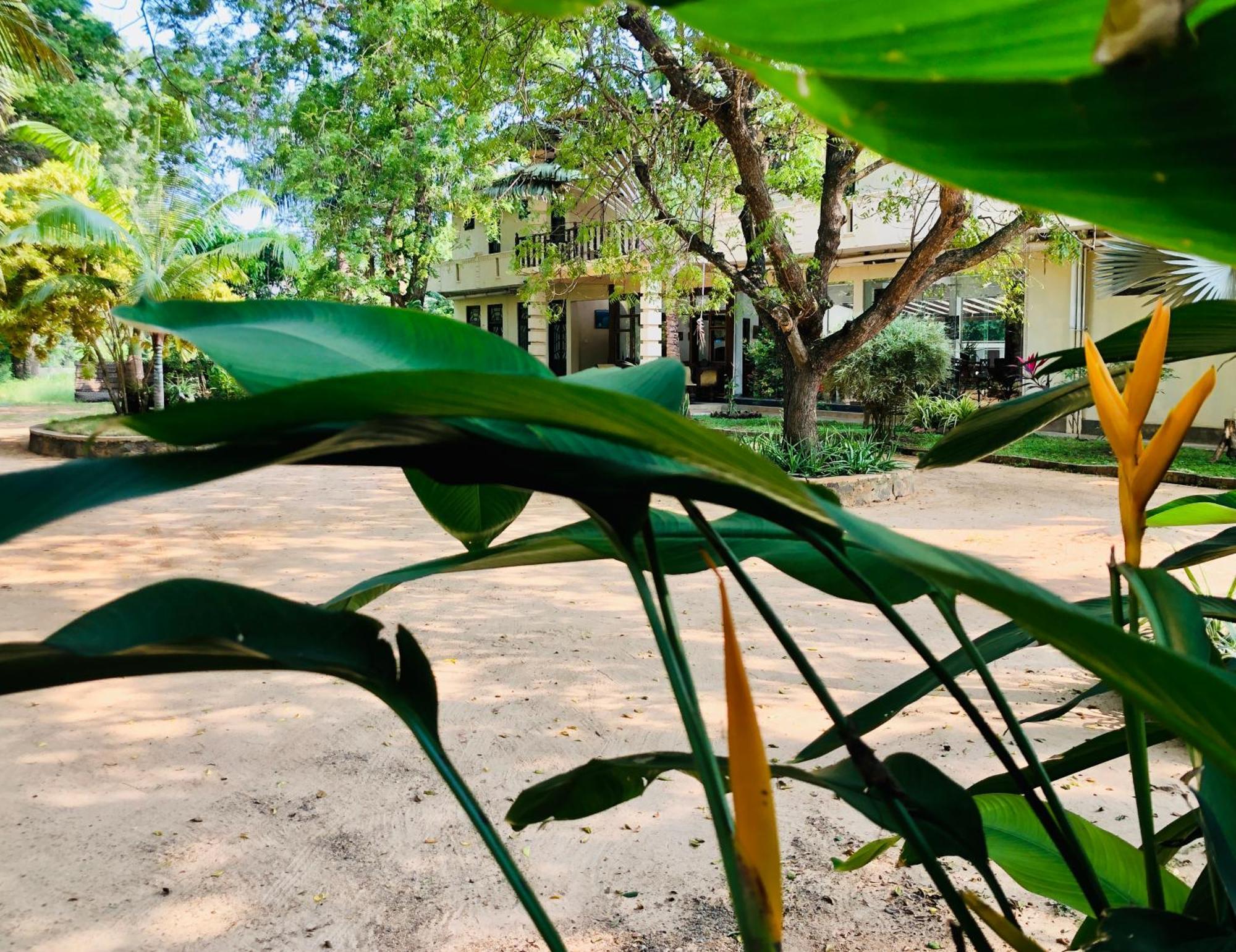 Saman Resort Yala Tissamaharama Exterior foto